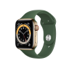 Refurbished Apple Watch Serie 6 | 44mm | Stainless Steel Gold | Grünes Sportarmband | GPS | WiFi + 4G
