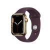 Apple Watch Series 7 | 45mm | Stainless Steel Case Goud | Dark Cherry sportbandje | GPS | WiFi + 4G