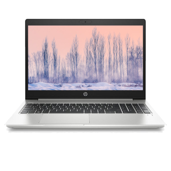 HP ProBook 455 G7 | 15.6 Zoll FHD | 4. Generation r5 | 256GB HDD | 8GB RAM | AMD Radeon RX Vega 6 | QWERTY/AZERTY/QWERTZ
