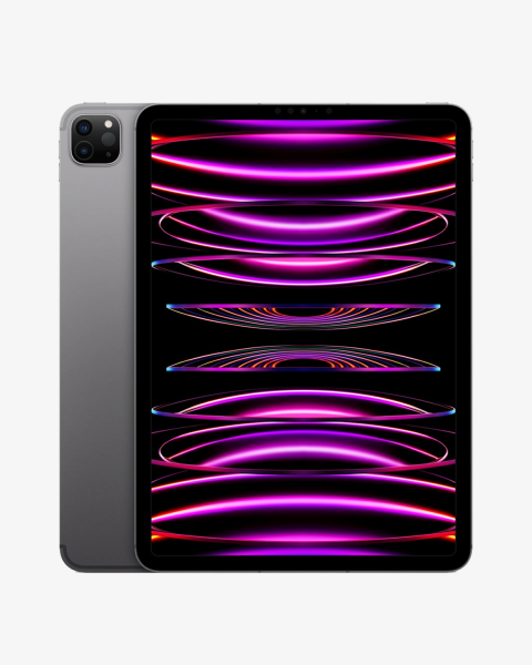 Refurbished iPad Pro 11-inch 256GB WiFi Spacegrau (2022)