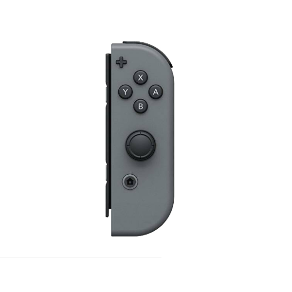 Nintendo Joy Con | Grau | Links & Rechts