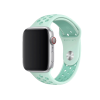 Apple Watch 42/44 mm Nike Sportarmband blaugrün