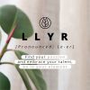 Llyr 2-in-1 Uitneembare Slang Bookcase iPhone Xr - Zwart - Zwart / Black