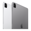 Refurbished iPad Pro 12.9 Zoll 2TB WiFi Space Grau (2022)